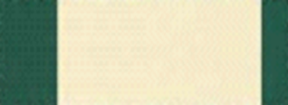 931 - Green - Cream Wide.png 931 - Green - Cream Wide.png